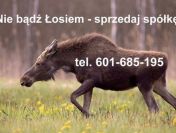 Zakup spółek z zobowiązaniami. Tel. 601 685 195