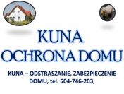 Sposób na kuny 504-746-203. Kuna, ochrona domu, pastuch