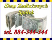 Skupujemy Zadłużone Spółki , JDG, Antywindykacja /233 /299 /586 /US /ZUS