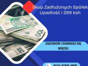 Skup Spółek w Upadłości i Zadłużonych Ochrona 299 Ksh