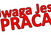 Pracownik logistyki - praca w Holandii
