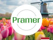 Order picker - atrakcyjne tygodniówki - praca w Holandii
