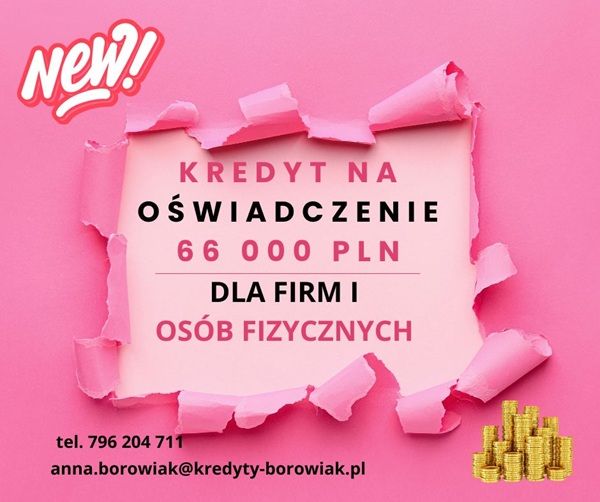 KREDYT DLA FIRM I OSÓB FIZYCZNYCH NA OŚWIADCZENIE – DO 66 000 ZŁ! Gdynia - Zdjęcie 1
