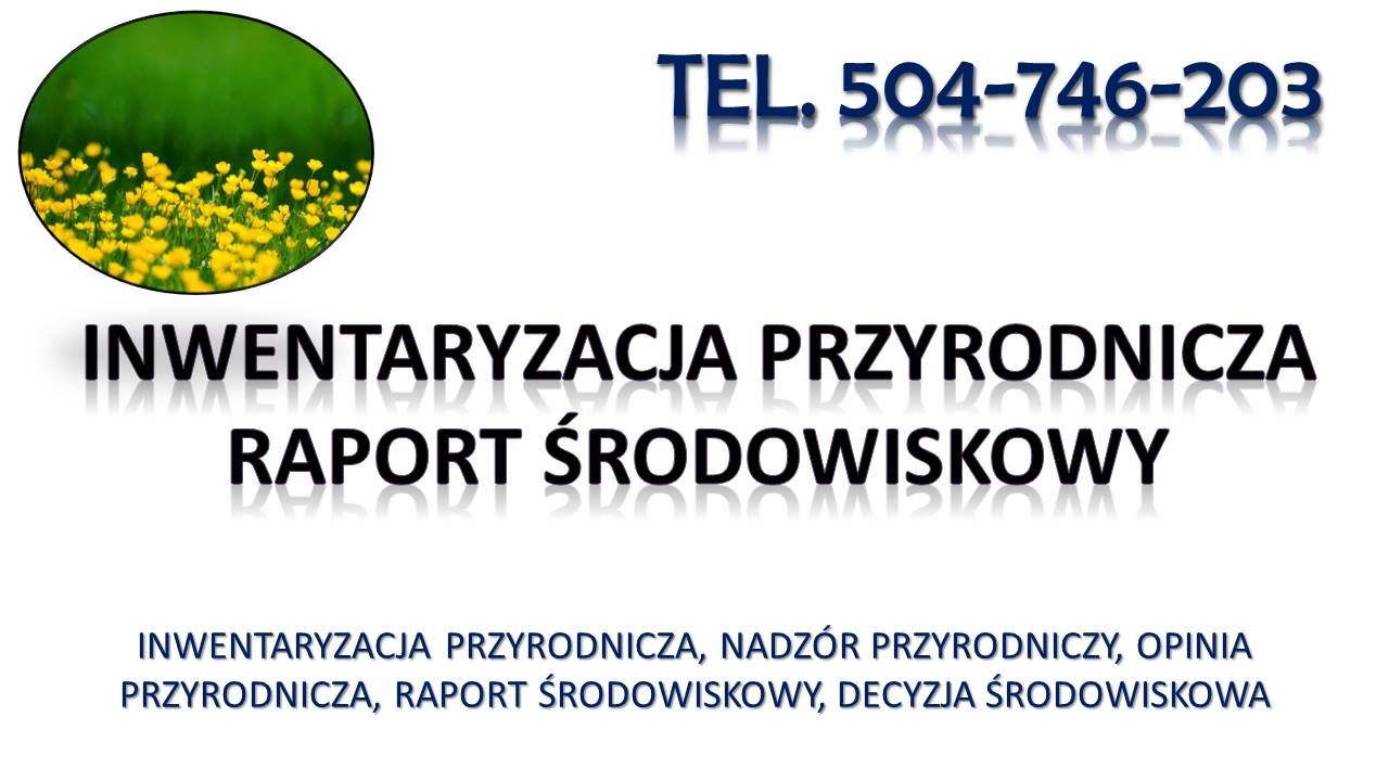 Nadzór przyrodniczy, opracowanie dokumentacji, tel. 504-746-203,  - Zdjęcie 1