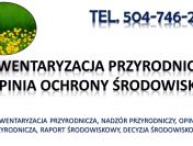 Ekspertyza przyrodnicza, ochrony środowiska, tel. 504-746-203