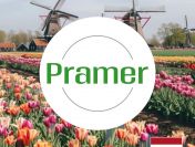 Pracownik przy zbiorze pieczarek - praca w Holandii