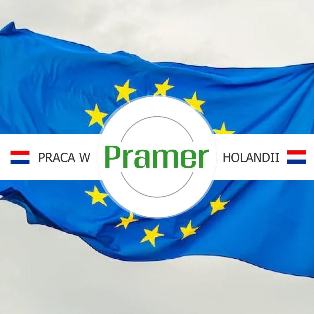 Pracownik produkcji wyrobów jajecznych  - praca w Holandii Nunspeet - Zdjęcie 1