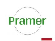 Produkcja płyt betonowych - praca w Holandii