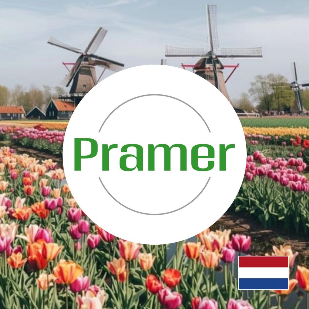 Pracownik produkcji sztucznej trawy - wysokie wynagrodzenie - praca w Holandii  - Zdjęcie 1