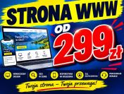 Strona wizytówka dla firmy za 299 zł